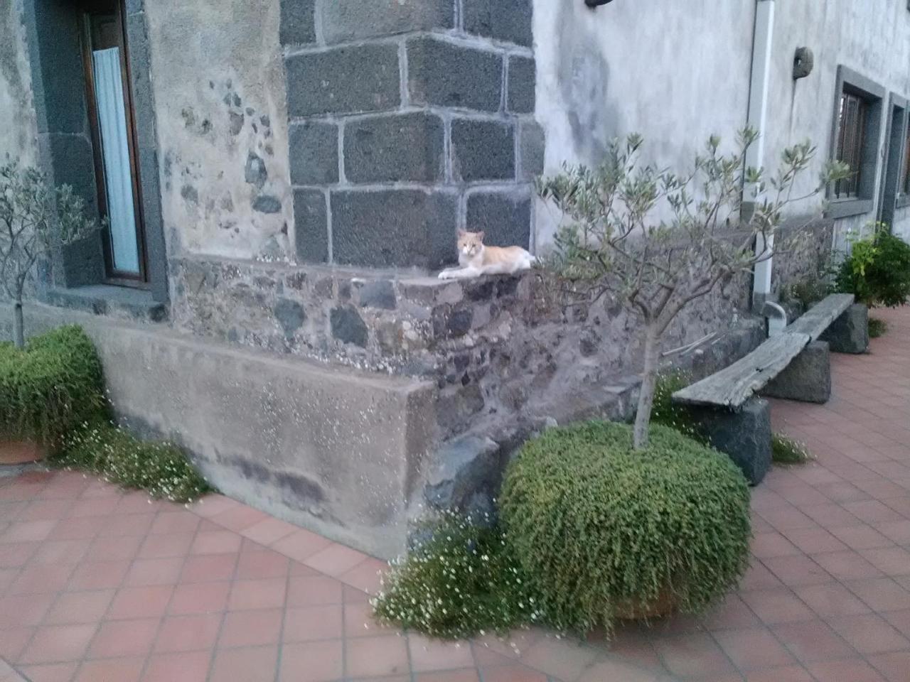 La Pietra Antica O' Munti Vila Mascali Exterior foto